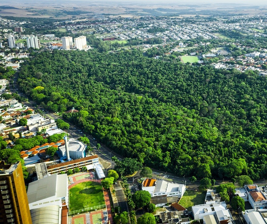 Maringá prorroga prazo para solicitação do IPTU Verde para 2025