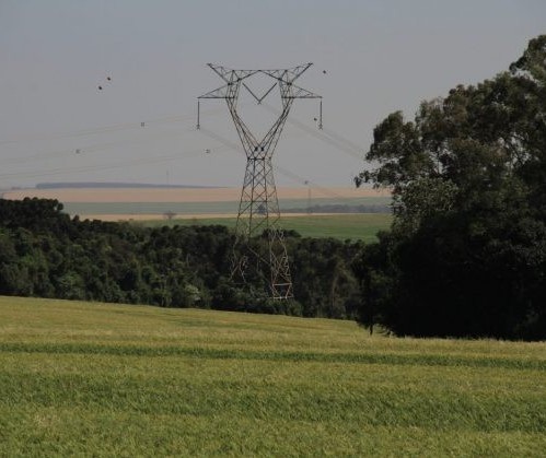 Continuidade da tarifa rural noturna está assegurada