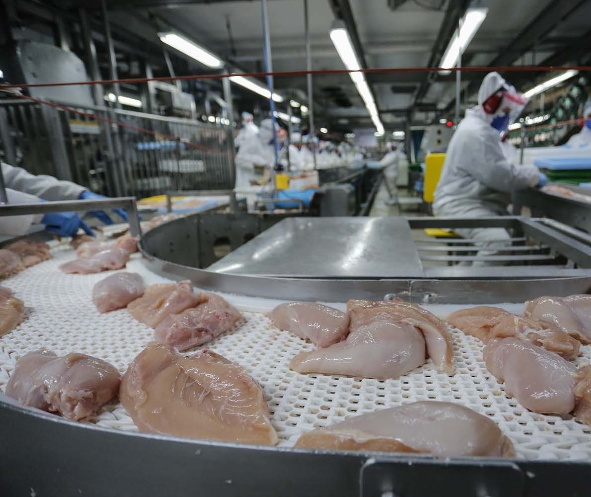 Exportação de carne de frango bate recorde 