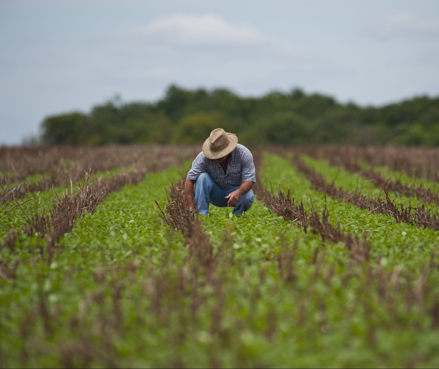 Após o STJ julgar o Plano Collor no crédito rural, será que o assunto finaliza?