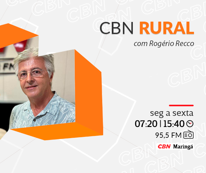 Demanda por biodiesel deve elevar o uso da soja nos próximos anos