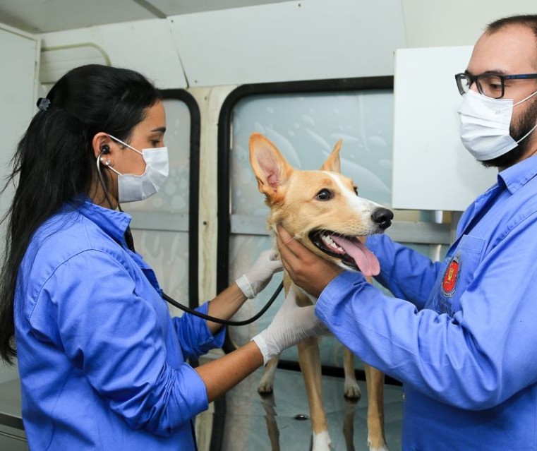 Bem-Estar Animal nos Bairros está na Vila Morangueira até 15h