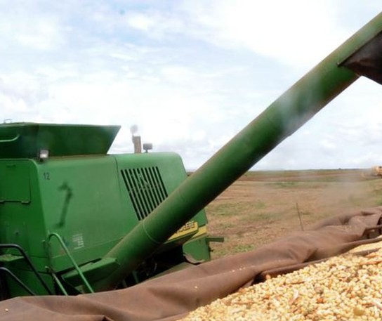 Vacinação trouxe boas perspectivas para o agronegócio