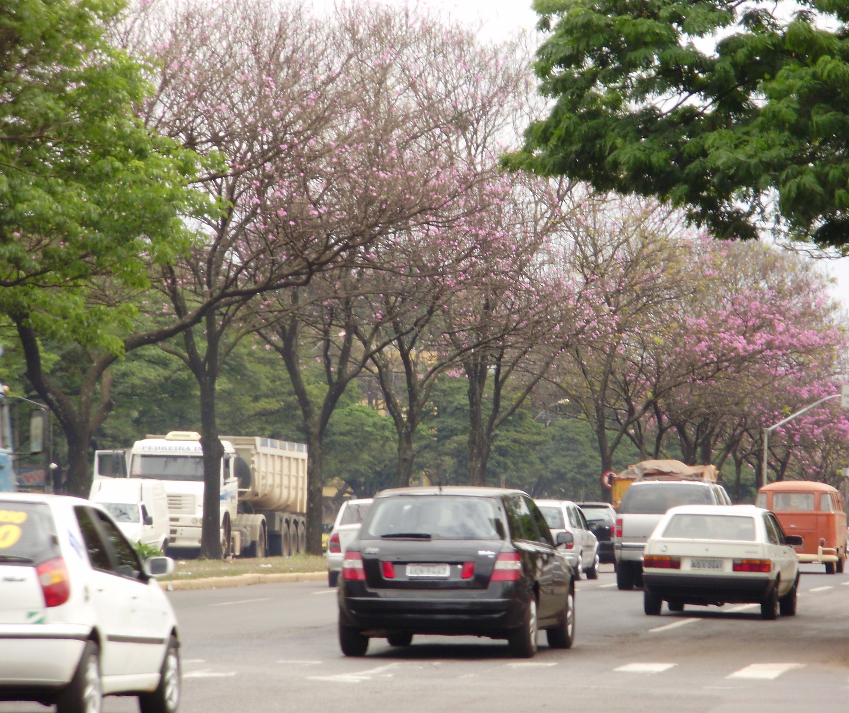 Durante tarde violenta duas pessoas morrem no trânsito de Maringá