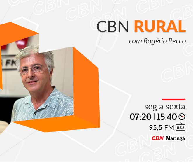 Insetos aliados: vespinhas combatem pragas do eucalipto e da laranja