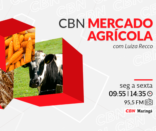 Trigo custa R$ 92 a saca em Maringá e Cascavel 