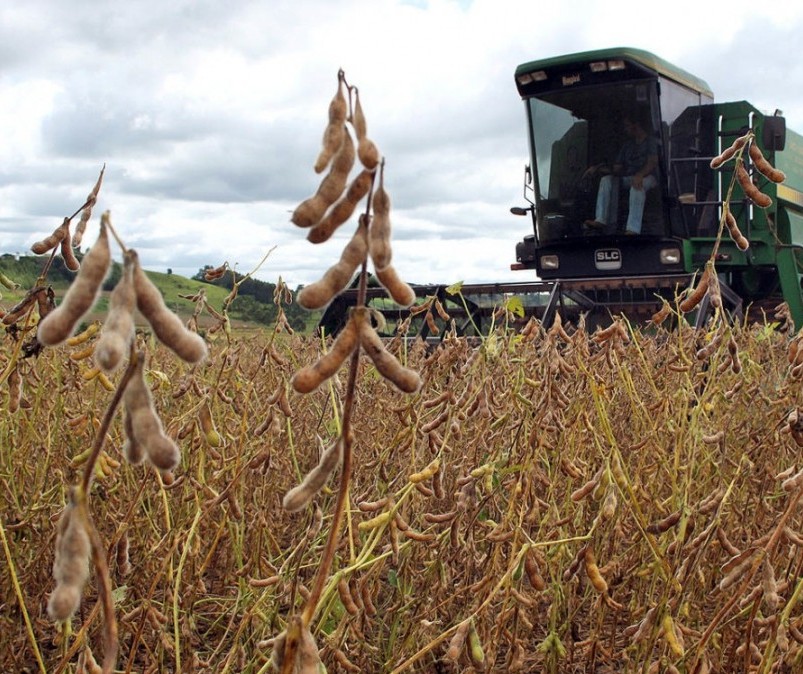 Saca da soja custa R$ 67 em Maringá