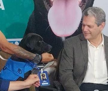 Bem-Estar Animal cria novos cargos para cães servidores