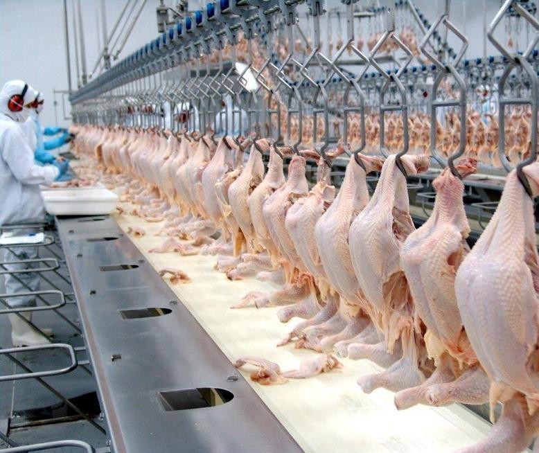 Forte alta nas cotações da carne de frango