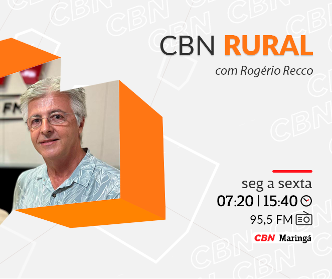 Safra cresce 113% em 13 anos e mostra força do agro