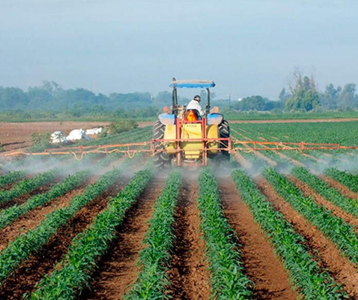 Preços agrícolas seguem em alta no Paraná