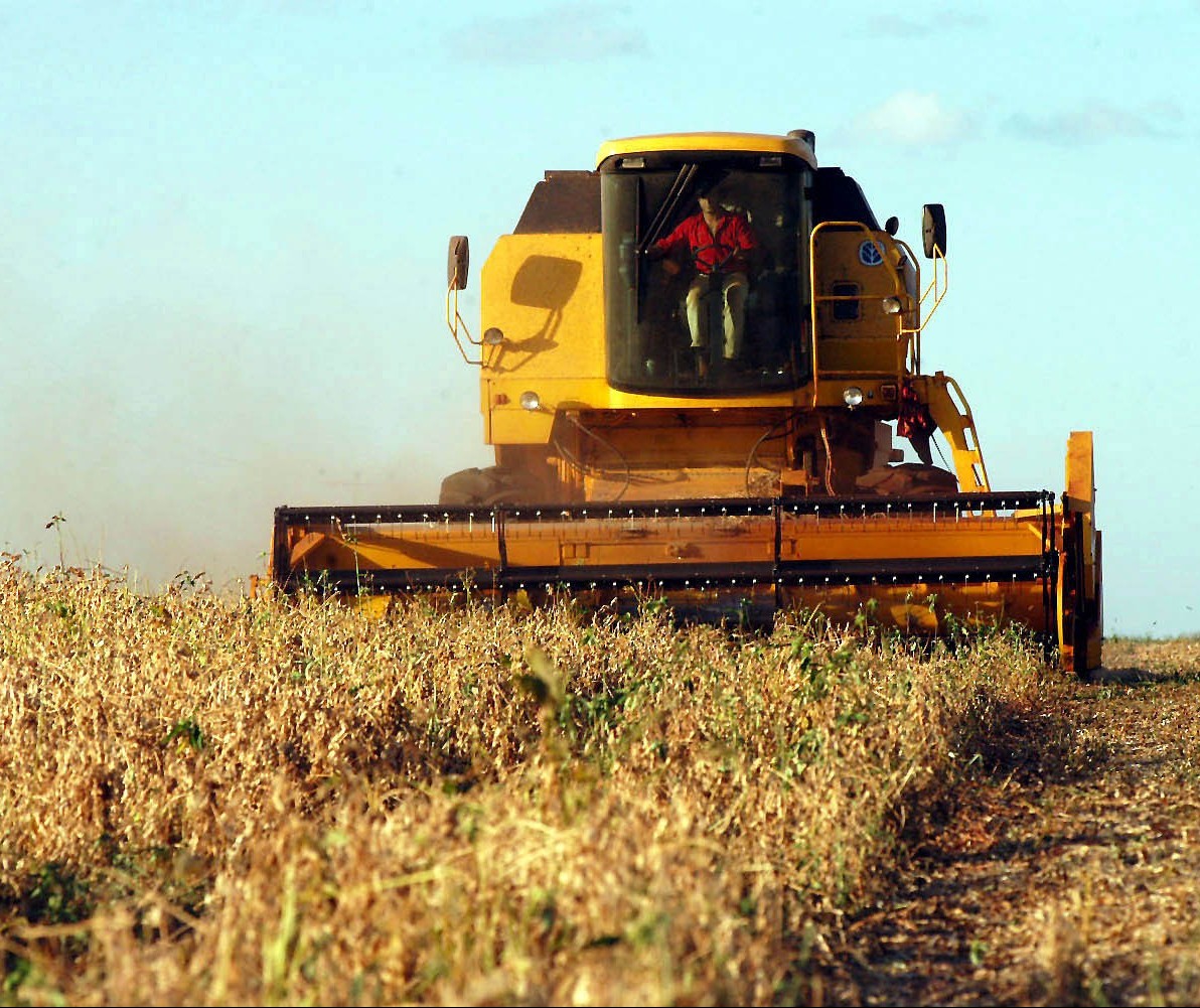 Soja custa R$ 71 a saca em Maringá