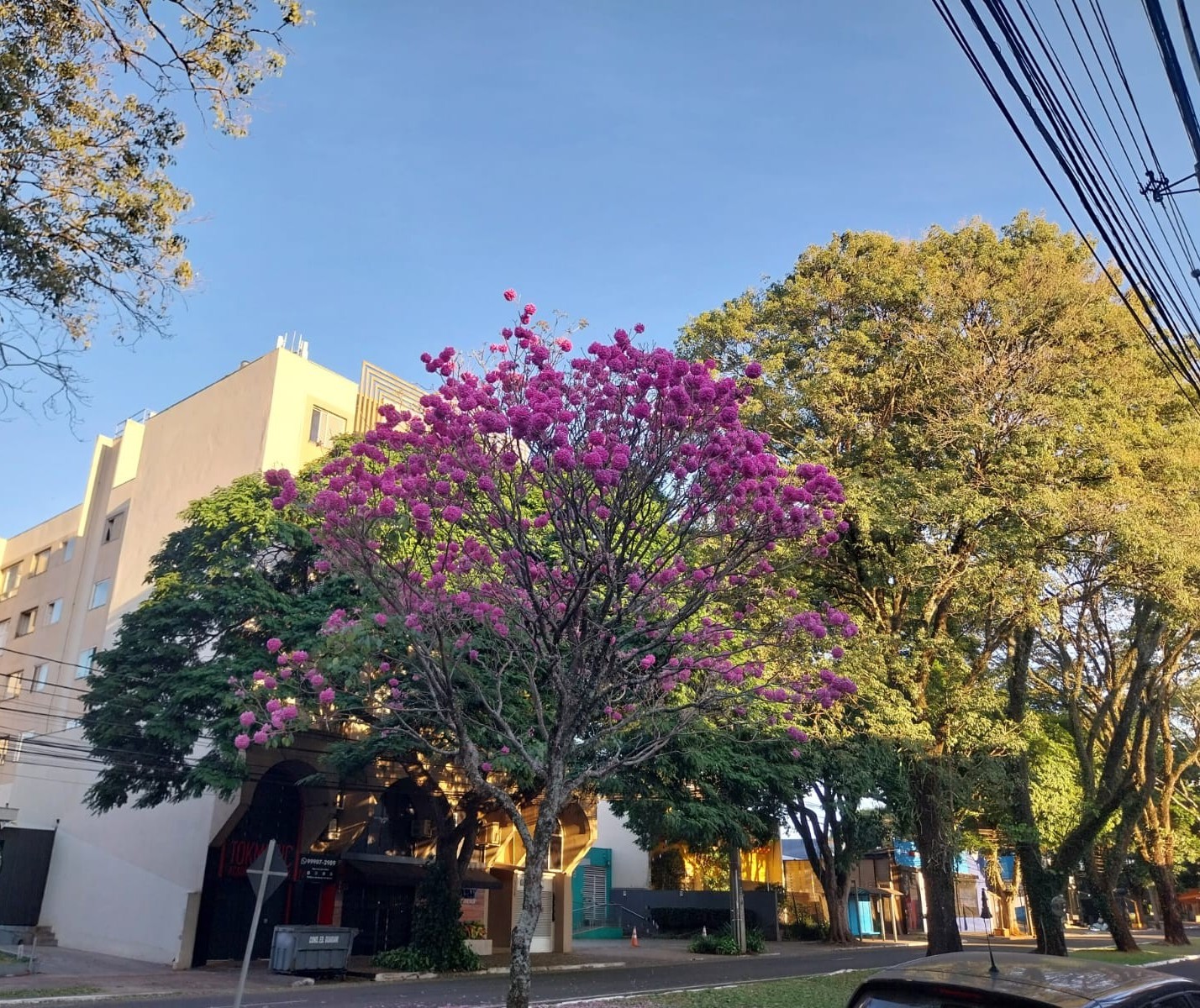 Confira a previsão do tempo para este domingo (16)