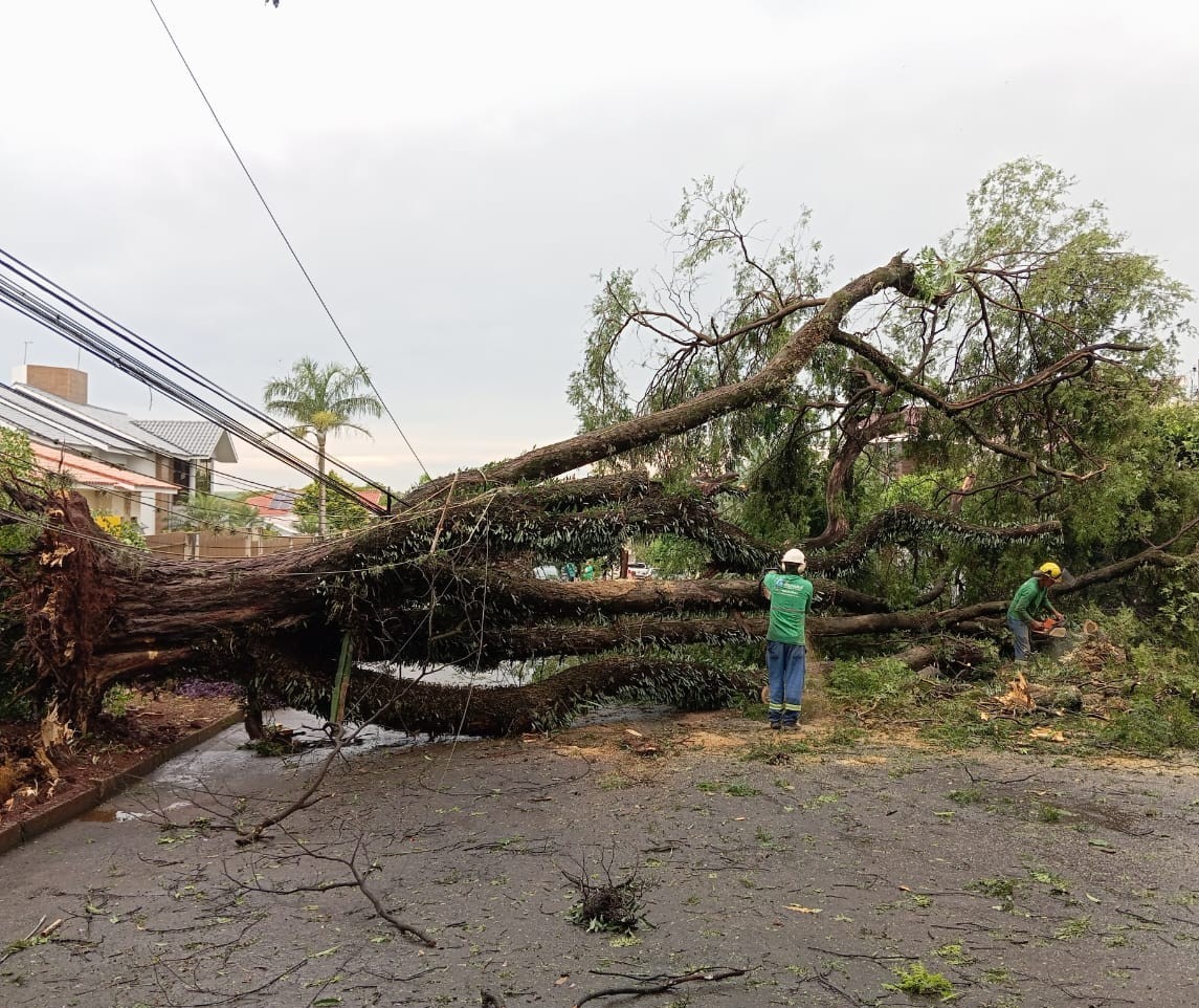 Temporal atinge Campo Mourão e deixa estragos