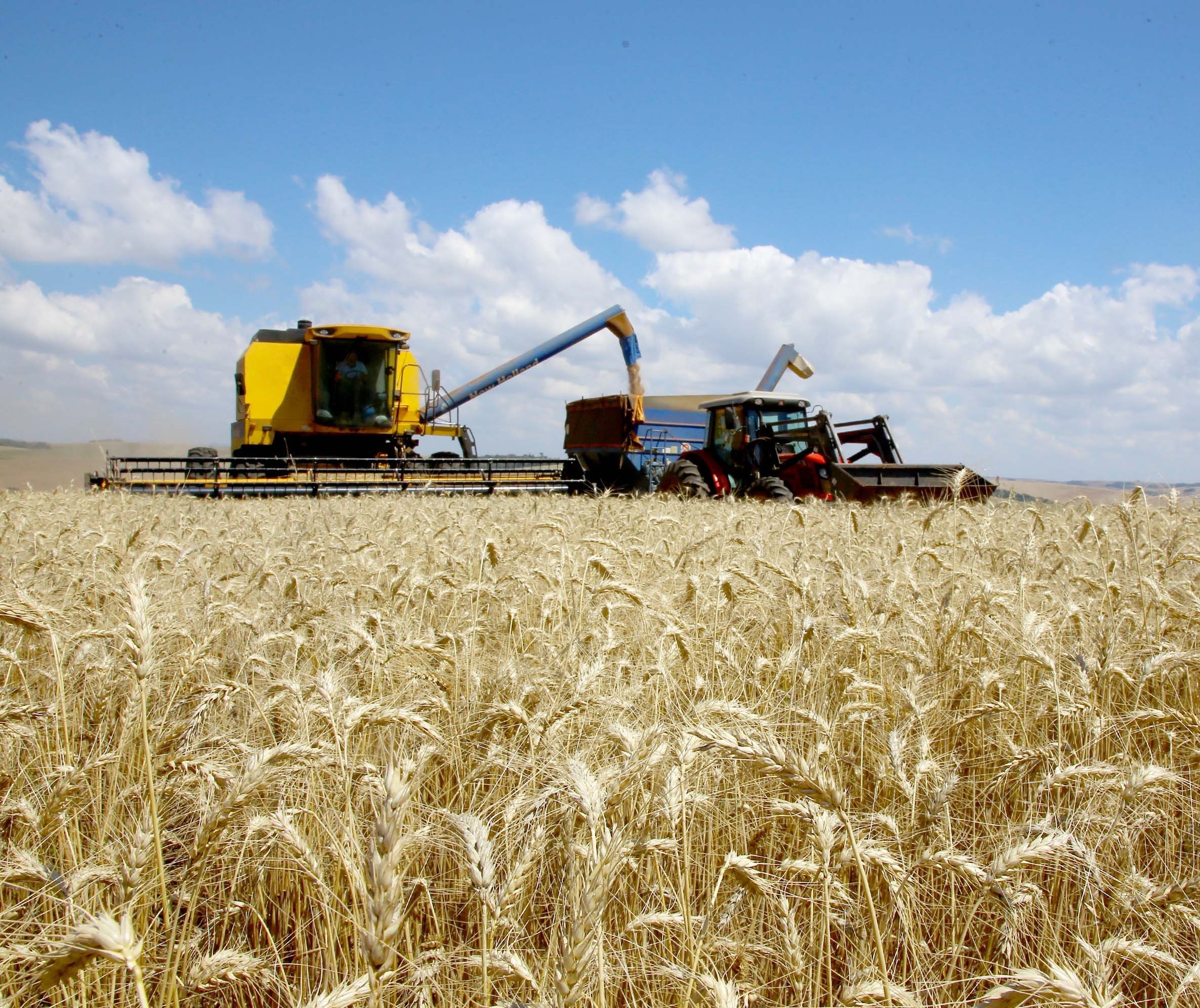 Fretes do agro estão entre os mais caros do país