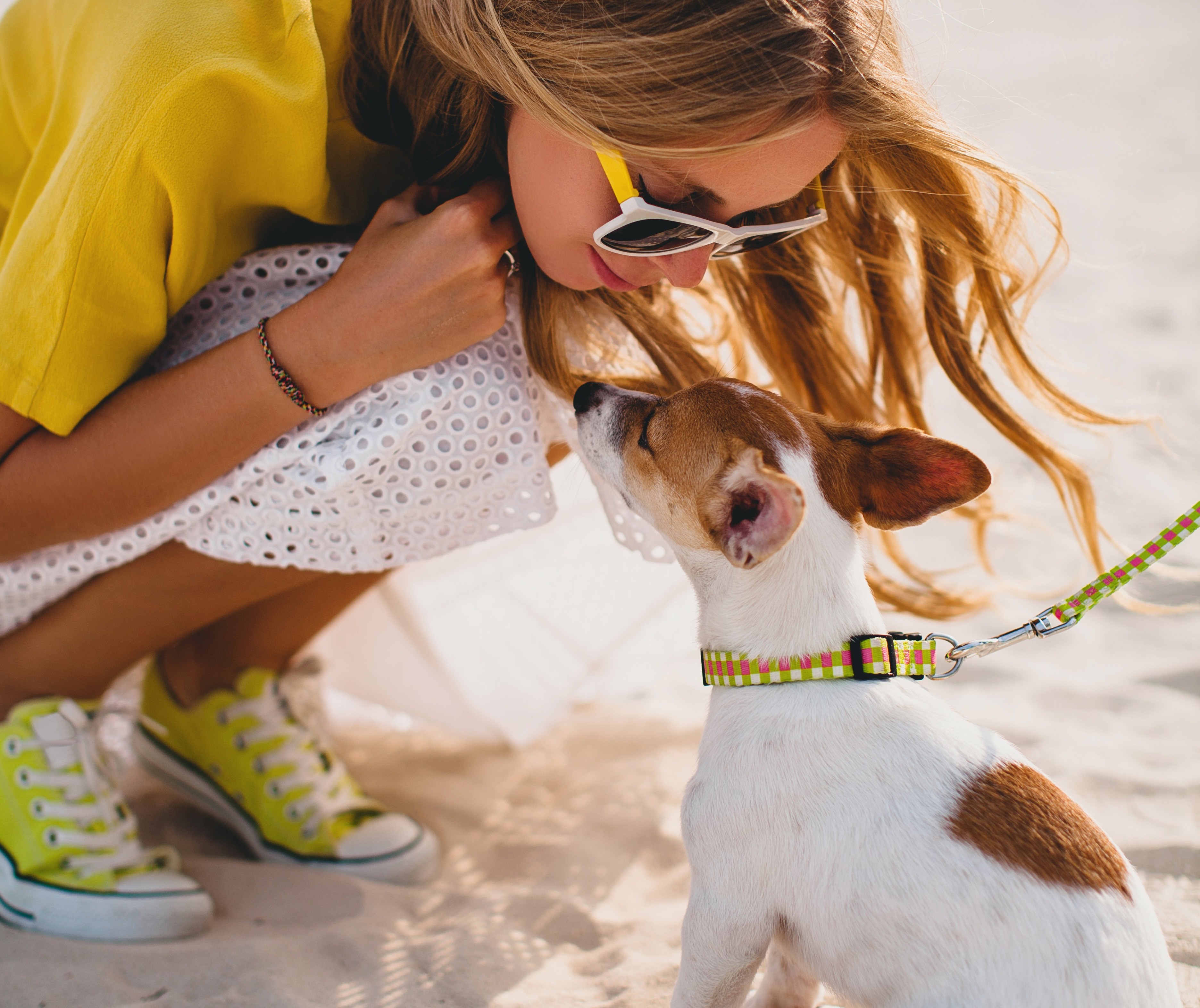 Confira dicas para cuidar melhor dos pets em dias quentes