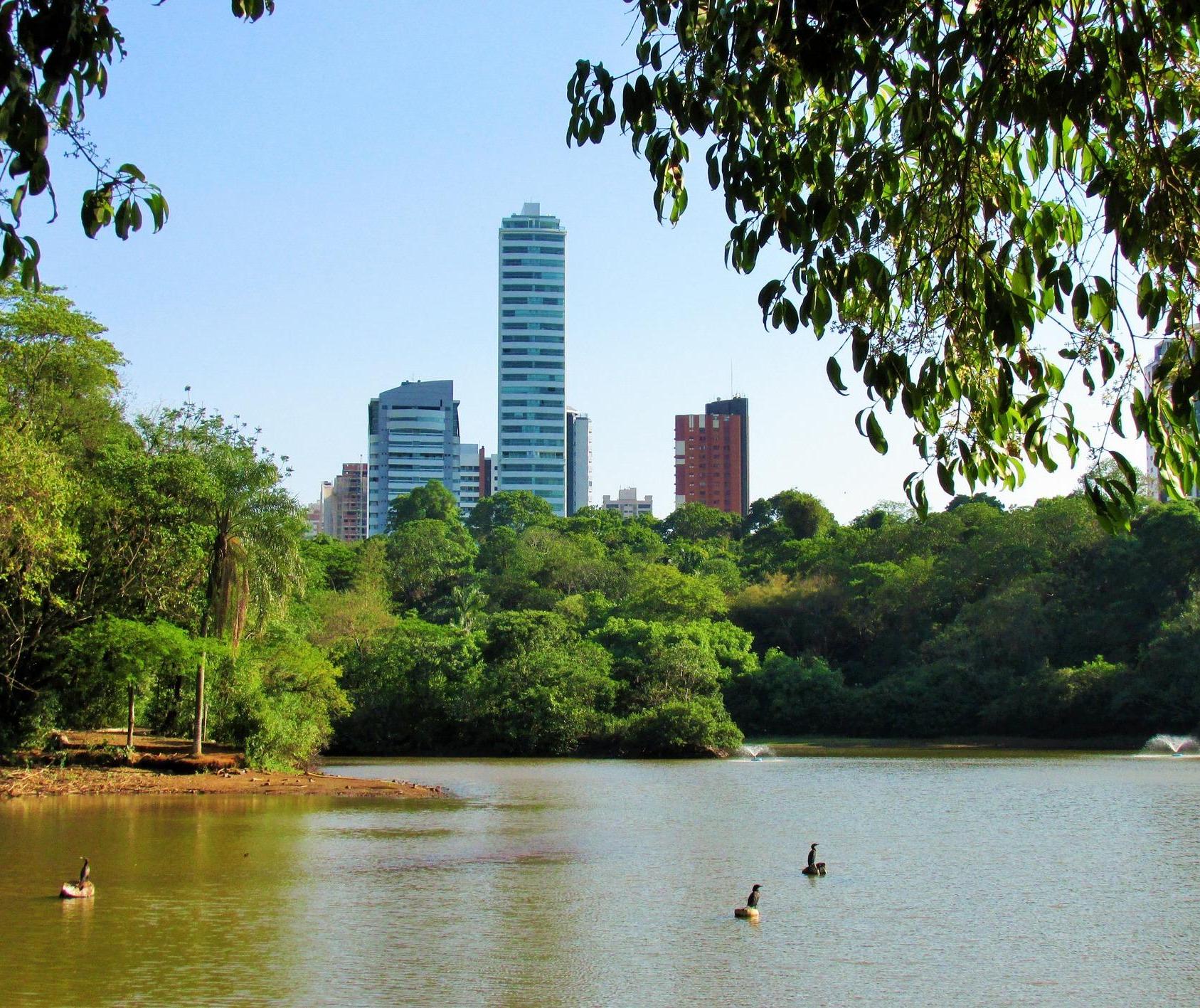 Maringá terá máxima de 25º C e sol entre nuvens nesta terça-feira (13); veja previsão