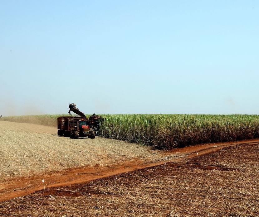 Produção agrícola retraiu em 2021, aponta IBGE