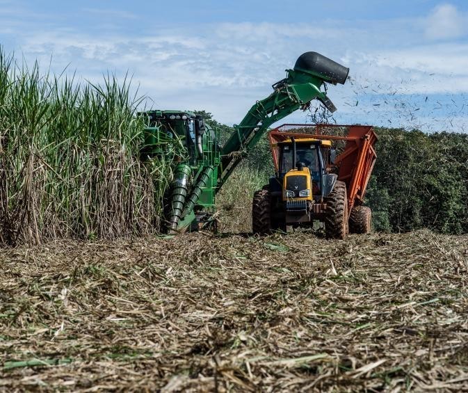 Alcopar divulga estimativa de produção