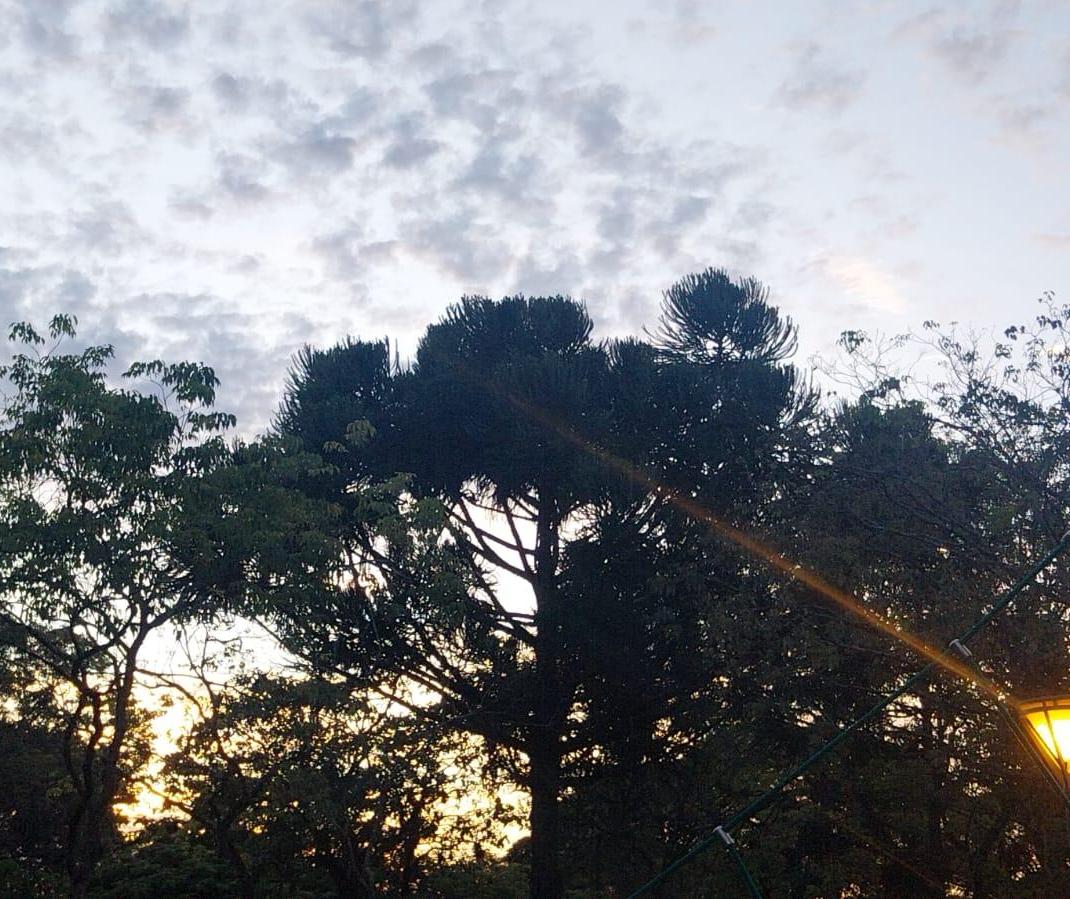 Domingo (4) de tempo firme e temperatura máxima de 27ºC