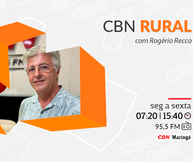 Junção de várias raças, Biribas BS é a excelência na suinocultura