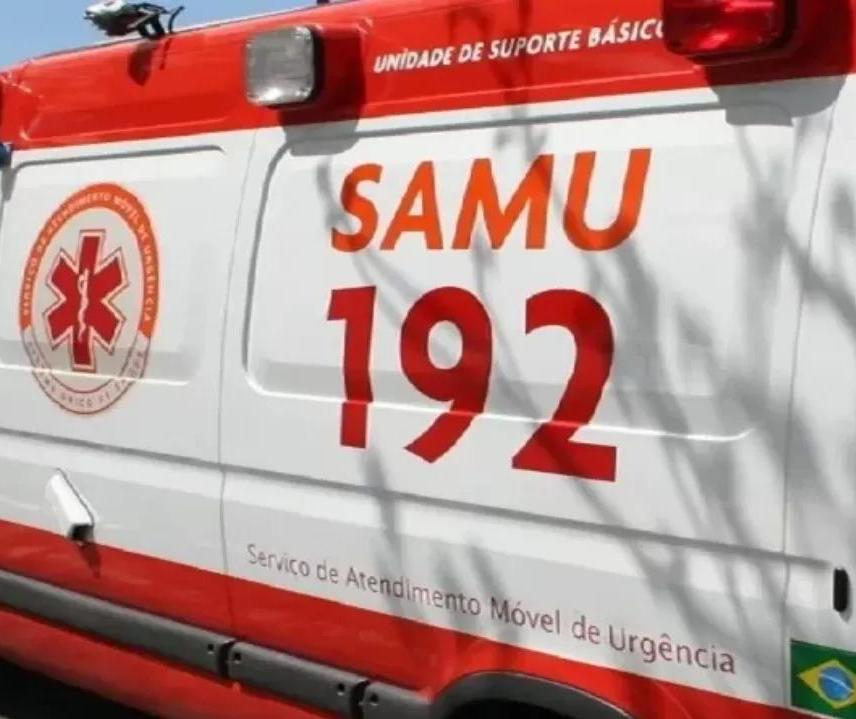 Cão da raça pitbull ataca criança e deixa outras duas pessoas feridas em Maringá