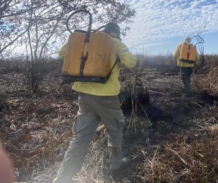 ICMBio informa que incêndio em Ilha Grande está sob controle