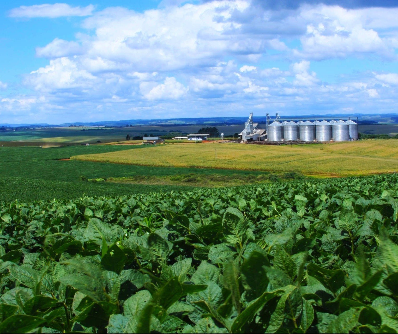 Plano Agrícola e Pecuário 2018 terá R$ 194 bi