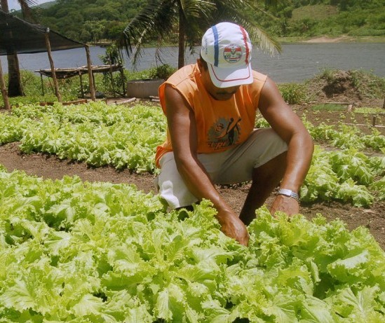 Parceria entre sindicatos rurais e produtores