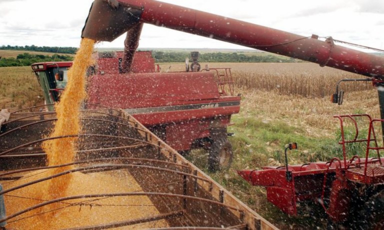 Área agrícola segurada no Brasil alcança recorde