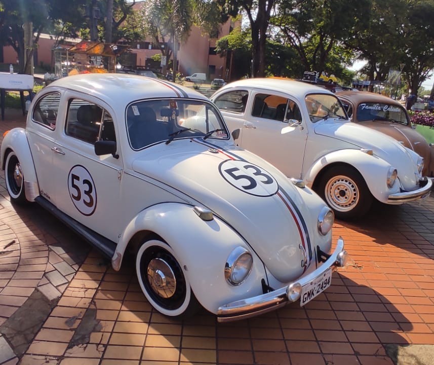 Domingo é dia de visitar mais de 500 carros antigos em Maringá