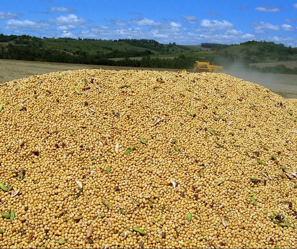 Greve dos caminhoneiros prejudica comercialização de produtos agrícolas