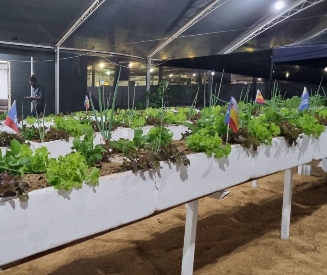 No Agromuseu é possível aprender a ter uma horta em casa