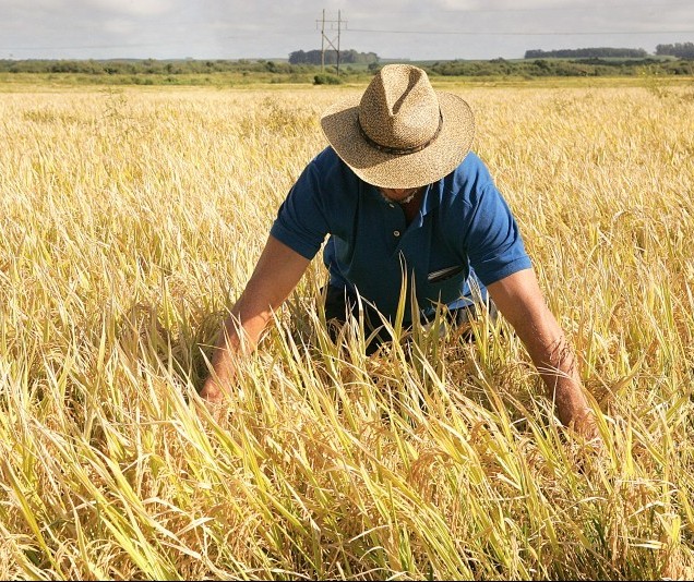 Movimentação no campo aumenta