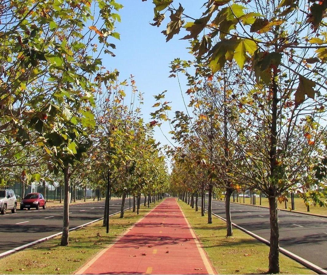 Segunda-feira (25) será de tempo estável e calor em Maringá