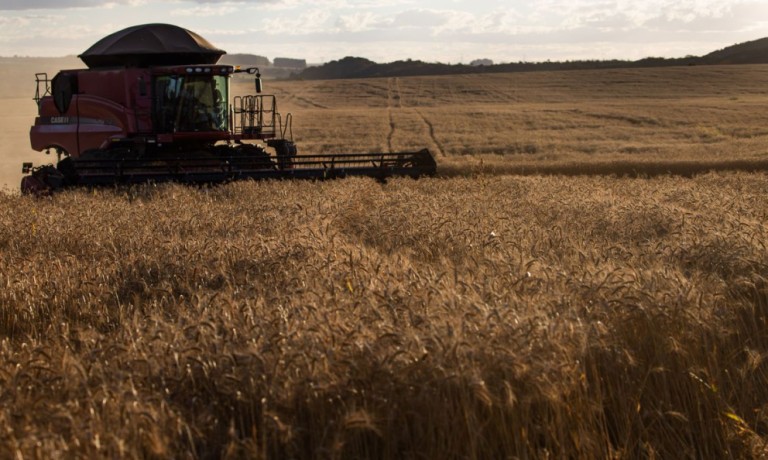 Mesmo com a pandemia, agronegócio brasileiro apresentou bons resultados em 2020