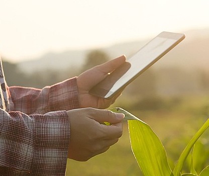 Agronegócio do Brasil  exportará US$ 1 trilhão em dez anos