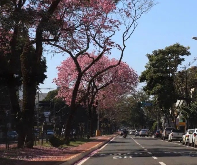 Veja como fica o tempo nesta quarta-feira (6)