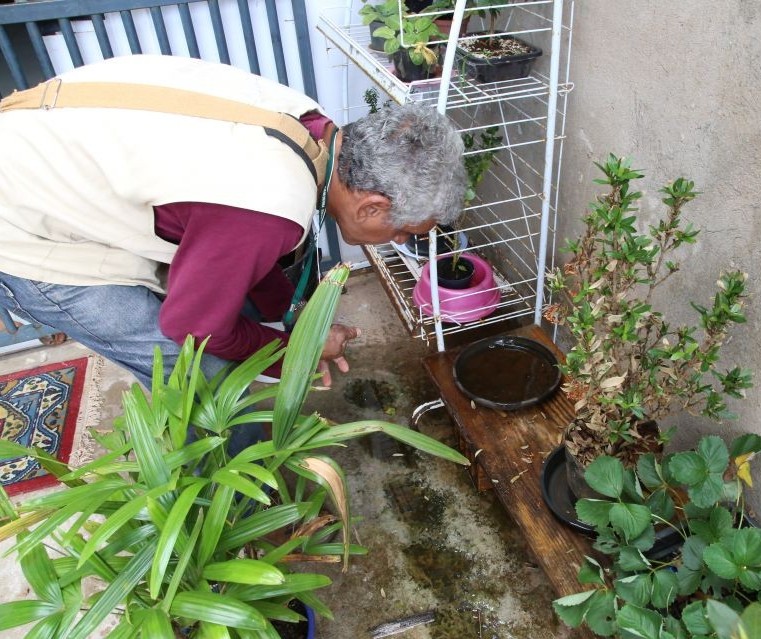 Maringá confirma 32 casos de dengue em uma semana