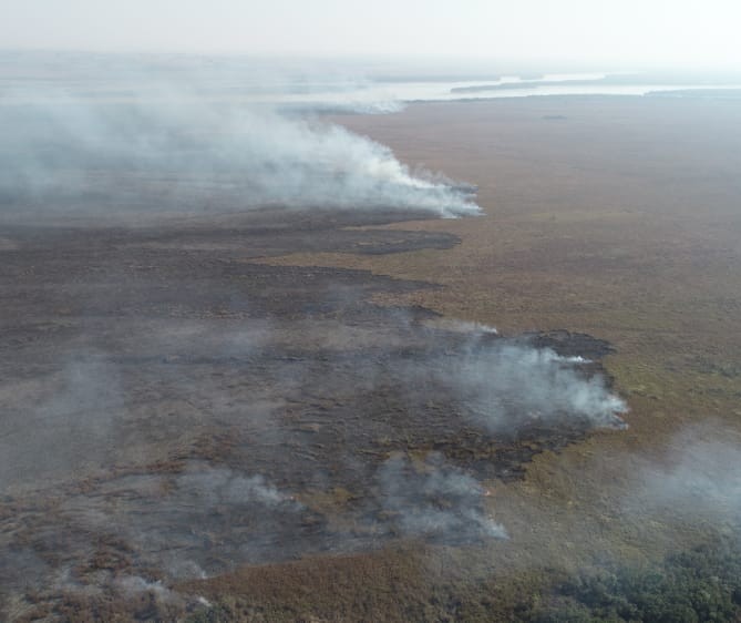 Brigadistas de Brasília chegam para ajudar no combate ao fogo em Ilha Grande