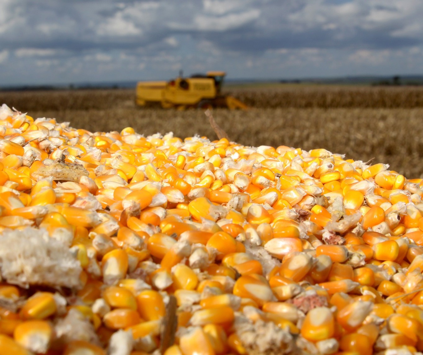 Pouca alteração no mercado agrícola