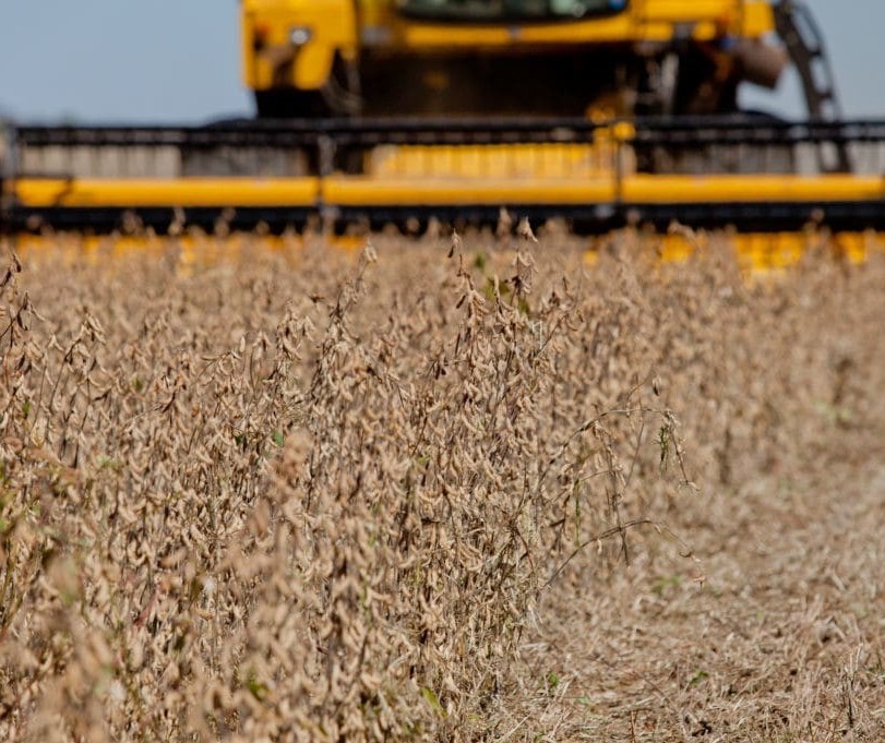 Seguro Rural atinge a marca de R$ 20 bilhões em valor segurado no ano de 2019