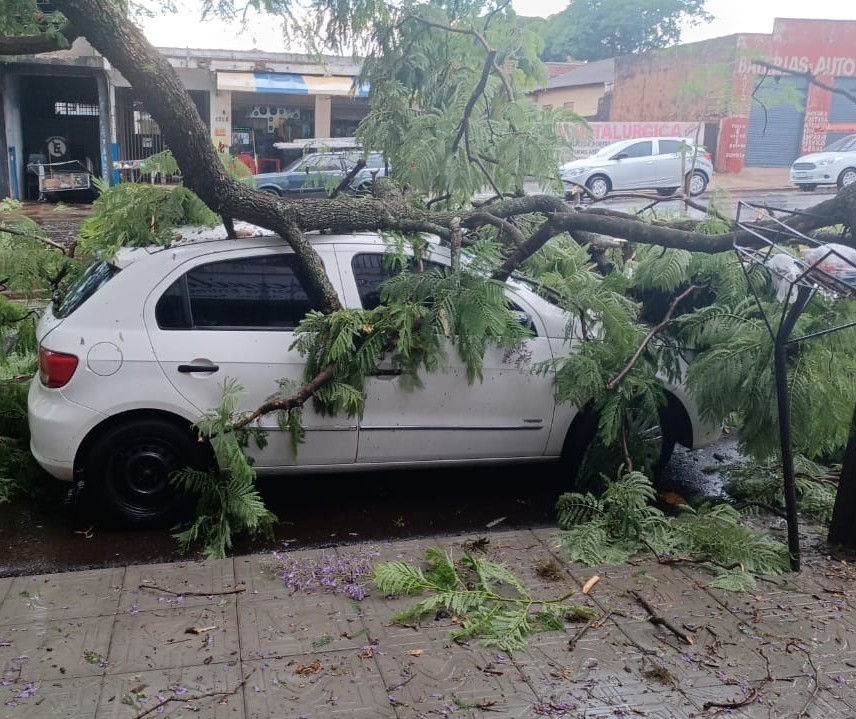 Chuva derruba árvores e provoca alagamentos em Maringá