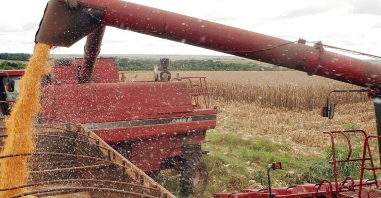 Sociedade Rural de Maringá e GMC Eventos realizam lives sobre o agronegócio