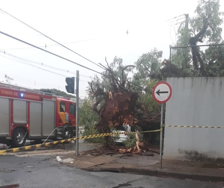 Rajadas de vento chegaram a 72 km/h em Maringá