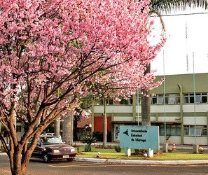 Estudantes de medicina da UEM organizam evento para domingo (7)