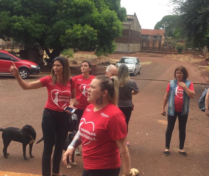 ONG protesta e vereadores pedem ajuda ao MP