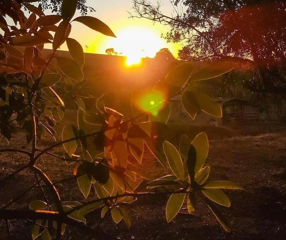 Quinta-feira registra mínima de 1,4°C, com sensação térmica de 0°C, em Maringá