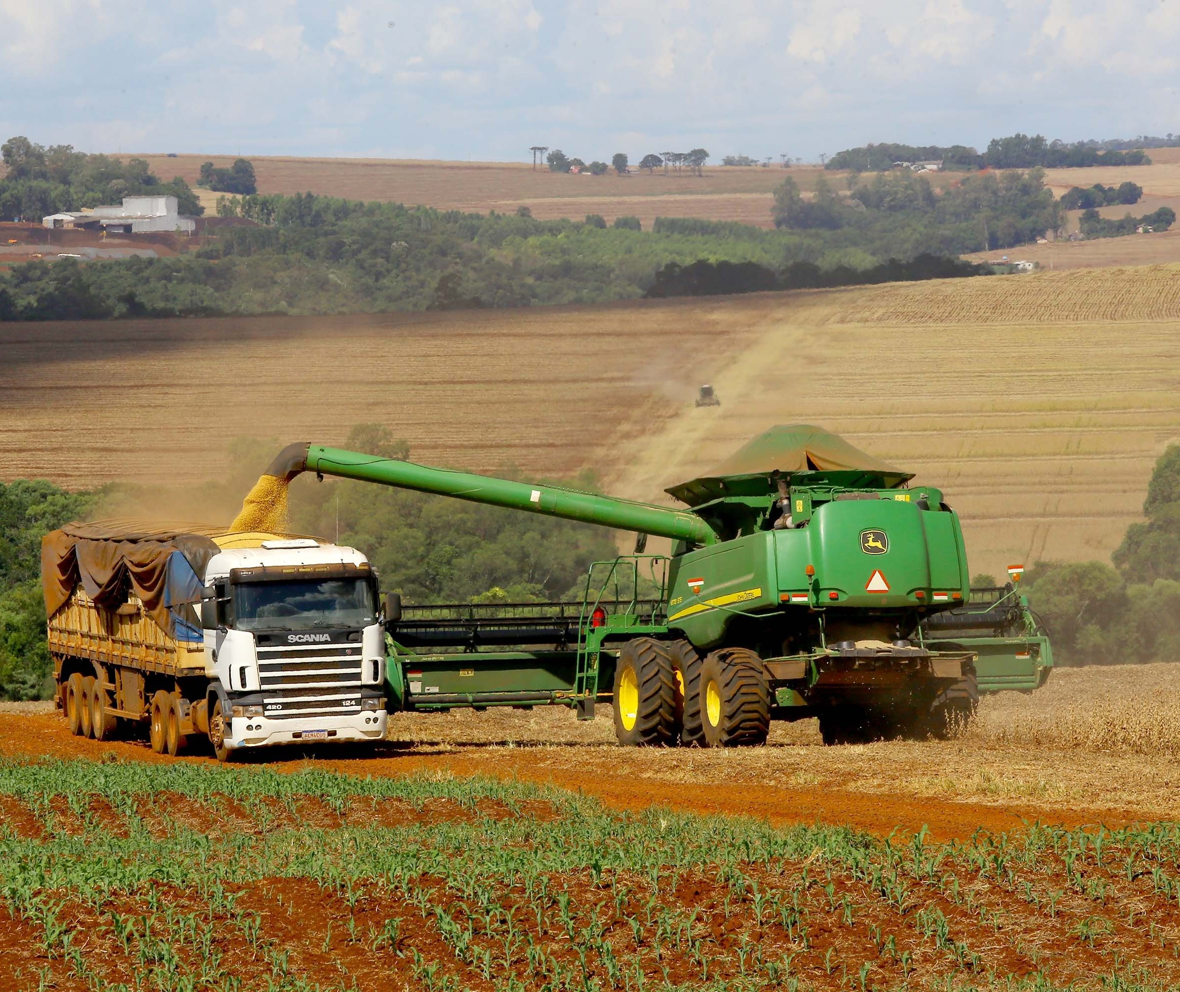 Safra de grãos do Paraná de 2021 e 2022 poderá somar 36,2 milhões de toneladas