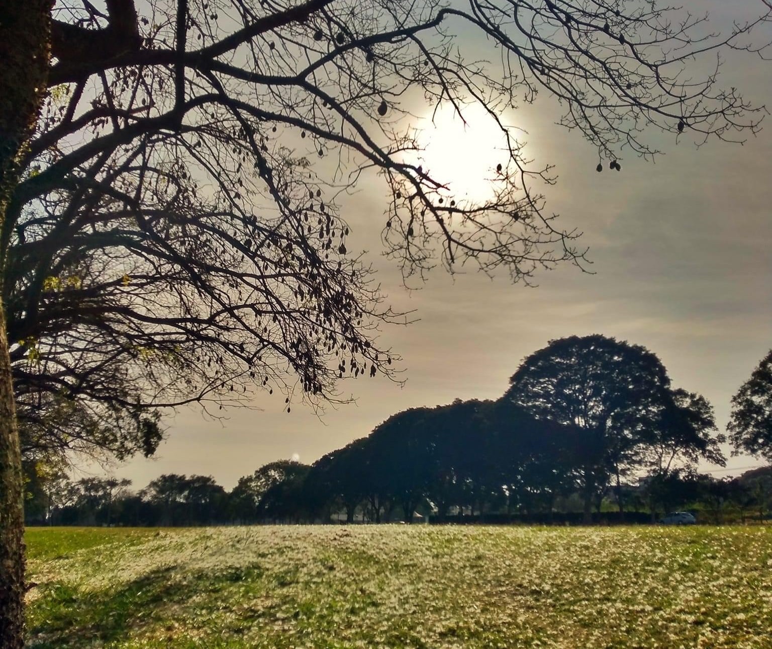 Sem chuvas, Maringá tem sábado com amanhecer gelado